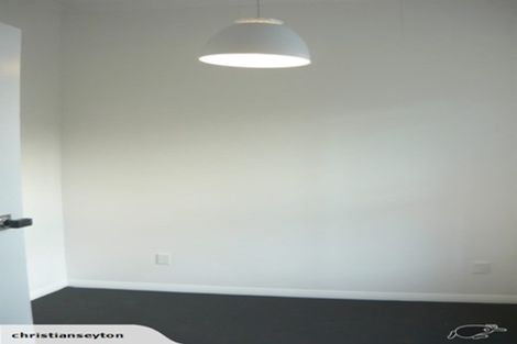 Photo of property in 293 Mansfield Street, Newtown, Wellington, 6021