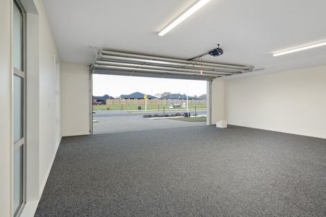 Photo of property in 8 Bond Street, Springlands, Blenheim, 7201