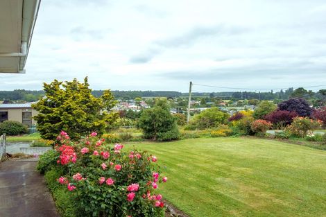 Photo of property in 17 Shere Street, Pleasant Point, 7903