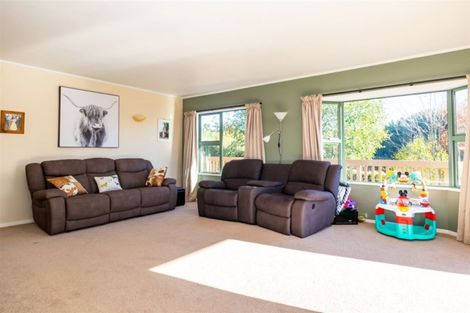 Photo of property in 8 Hewlings Street, Geraldine, 7930