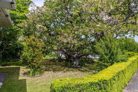 Photo of property in 26 Costley Street, Carterton, 5713