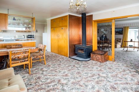 Photo of property in 17 Shere Street, Pleasant Point, 7903