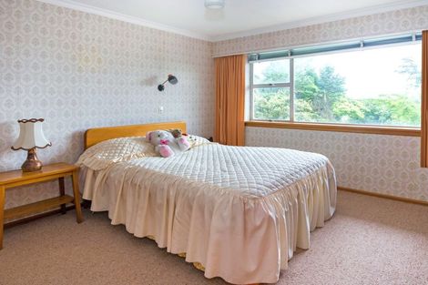 Photo of property in 17 Shere Street, Pleasant Point, 7903