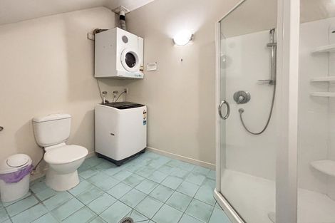 Photo of property in 207 Tasman Street, Mount Cook, Wellington, 6021