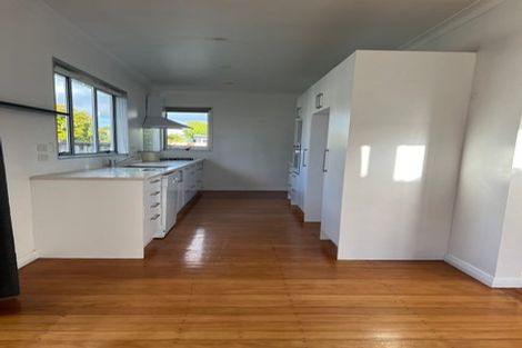 Photo of property in 13 Maranui Avenue, Point Chevalier, Auckland, 1022
