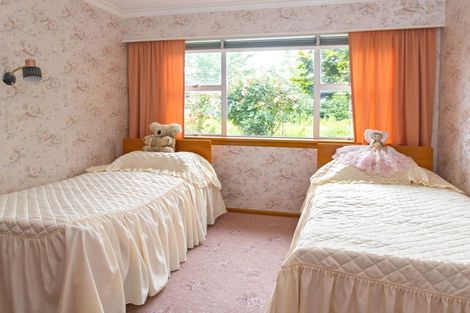 Photo of property in 17 Shere Street, Pleasant Point, 7903