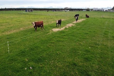 Photo of property in 10 Russells Road, Eiffelton, Ashburton, 7774