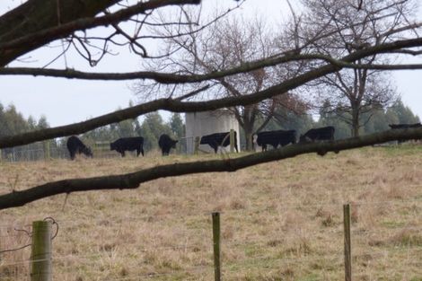 Photo of property in 6 Lot Rc, 280 Homestead Road, Weston, Oamaru, 9491