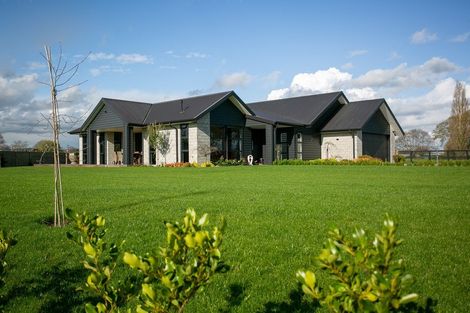 Photo of property in 41 Catalyst Avenue, Leamington, Cambridge, 3432