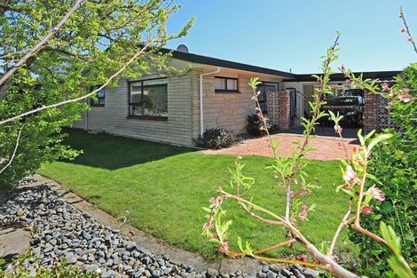 Photo of property in 15 Swansea Place, Tamatea, Napier, 4112