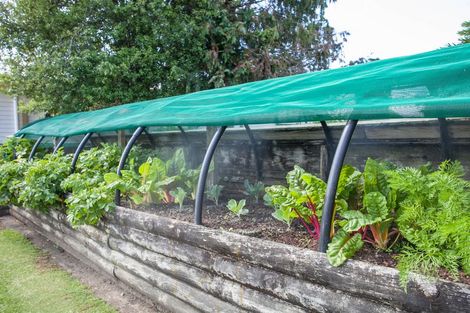 Photo of property in 29 Browning Street, Leamington, Cambridge, 3432