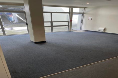 Photo of property in Hanson House, 2/27 Hanson Street, Mount Cook, Wellington, 6021