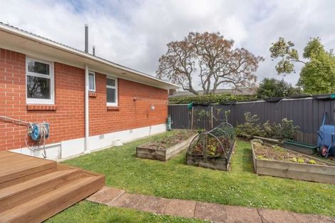 Photo of property in 9 Ngaere Avenue, Chartwell, Hamilton, 3210