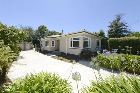 Photo of property in 159 Opawa Road, Hillsborough, Christchurch, 8022