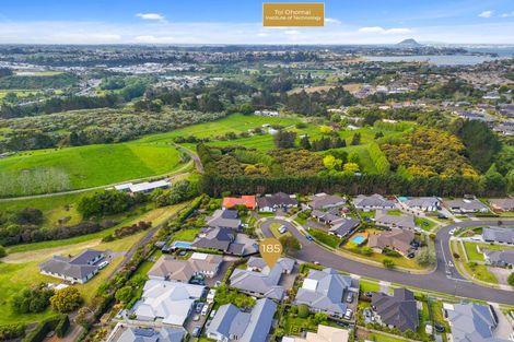 Photo of property in 185 Rowesdale Drive, Ohauiti, Tauranga, 3112