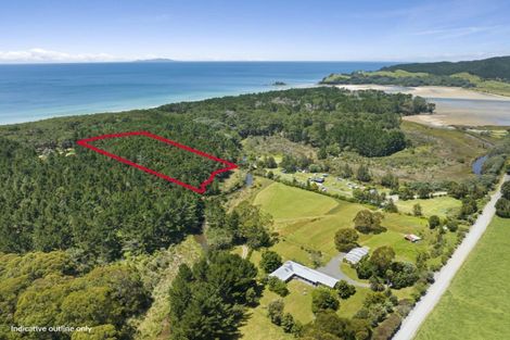Photo of property in 466a Ohui Road, Opoutere, Whangamata, 3691