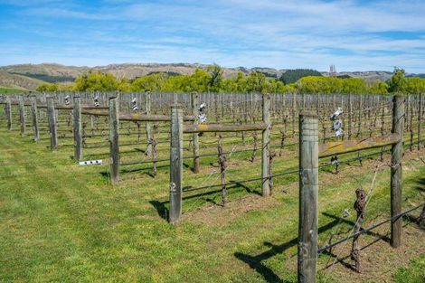 Photo of property in 1114 Omihi Road, Omihi, Amberley, 7483