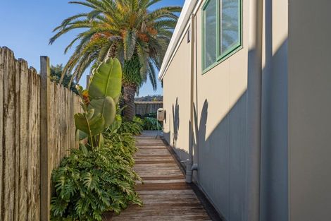 Photo of property in 51a Cook Drive, Whitianga, 3510