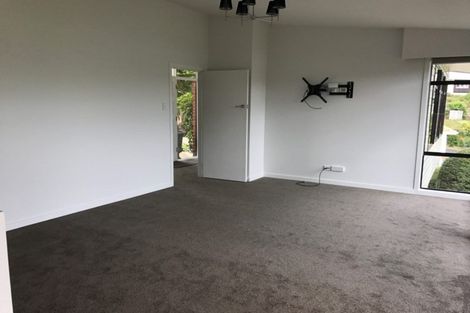 Photo of property in 117 Doon Street, Waverley, Dunedin, 9013