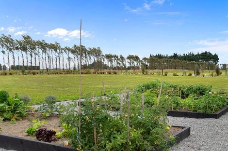 Photo of property in 604 Homebush Road, Kirwee, Christchurch, 7671