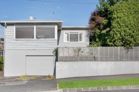 Photo of property in 10 Bungalow Avenue, Point Chevalier, Auckland, 1022