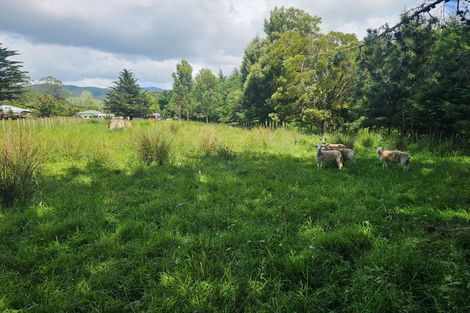 Photo of property in 855 Makerua Road, Tokomaru, Palmerston North, 4474