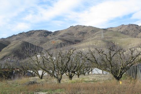 Photo of property in 24 Alpha Street, Cromwell, 9310