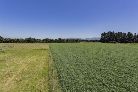 Photo of property in 49 Leslies Road, Cust, Rangiora, 7471