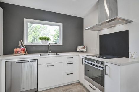 Photo of property in 419a Massey Street, Akina, Hastings, 4122