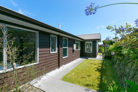 Photo of property in 58c Gilbert Street, New Plymouth, 4310