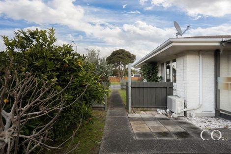 Photo of property in 91a Chapel Street, Otumoetai, Tauranga, 3110