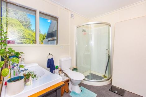 Photo of property in 120 Maungatawhiri Road, Raglan, 3295