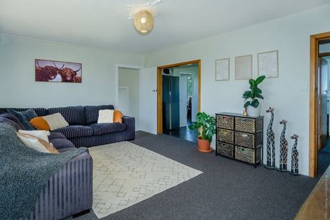 Photo of property in 150 Michael Street, Rakaia, 7710