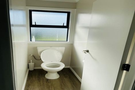 Photo of property in 53 Power Street, Levin, 5510