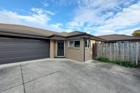 Photo of property in 19a Carey Street, Maeroa, Hamilton, 3200