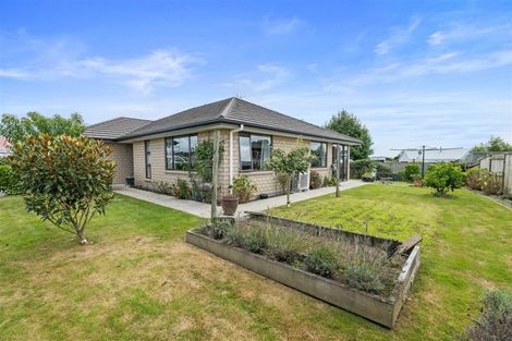 Photo of property in 17 Barry Curtis Place, Levin, 5510
