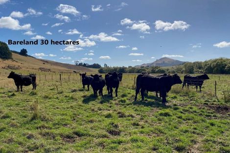 Photo of property in 21 Patterson Road, Goodwood, Palmerston, 9481