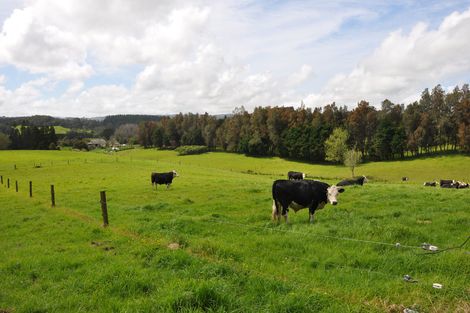 Photo of property in 355 Wellsford Valley Road, Wellsford, 0973