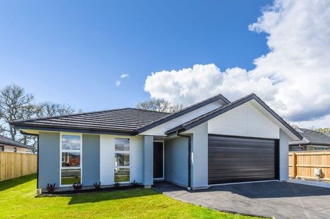 Photo of property in 15 Oakdale Grove, Richmond, 7020