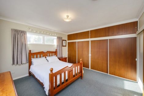 Photo of property in 395 Ruahine Street, Terrace End, Palmerston North, 4410