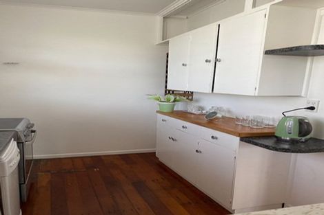 Photo of property in 16 Bangor Street, Point Chevalier, Auckland, 1022