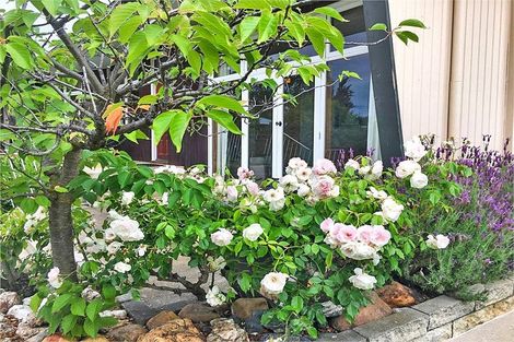 Photo of property in 30 Ventry Street, Alexandra, 9320