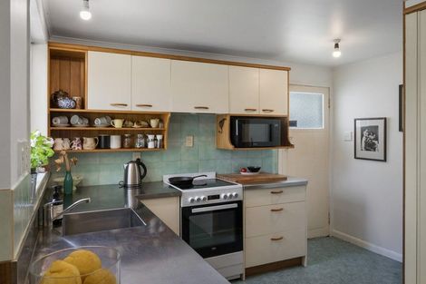 Photo of property in 103 Alfred Street, Thames, 3500