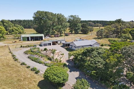 Photo of property in 785 Brandon Hall Road, Santoft, Bulls, 4894