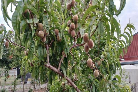 Photo of property in 386 Alabama Road, Riverlands, Blenheim, 7274