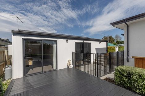 Photo of property in 911a Rata Street, Mahora, Hastings, 4120