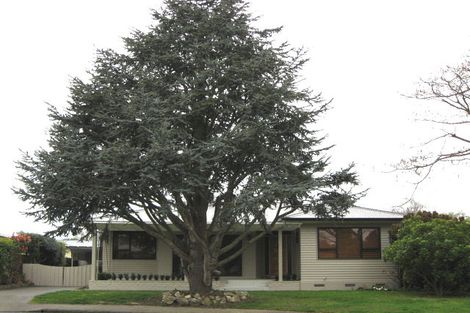 Photo of property in 807 Oxford Street, Saint Leonards, Hastings, 4120