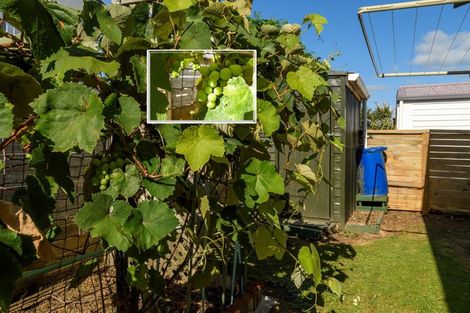 Photo of property in 26 Princess Street, Te Puke, 3119