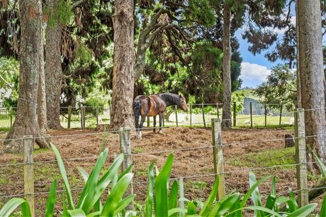 Photo of property in 42 Davie Martin Road, Kaipara Flats, Warkworth, 0981