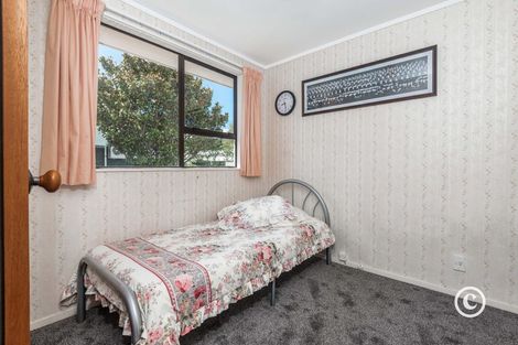 Photo of property in 16b Trafalgar Street, Johnsonville, Wellington, 6037